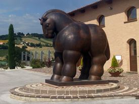 Marche Wine Tour 13 Marche Wine Tour 13