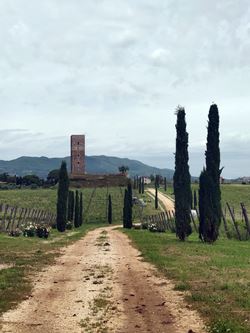 Roman wine holidays 9 Roman wine holidays 9