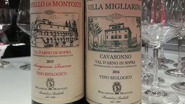 Valdarno wines 2