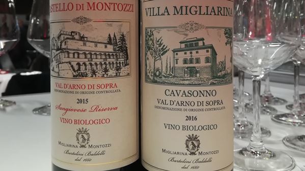 Valdarno wines 2 Valdarno wines 2