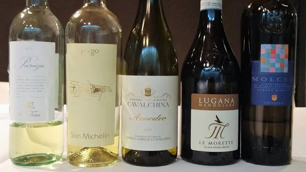 20 Veneto wines 1 1 20 Veneto wines 1 1