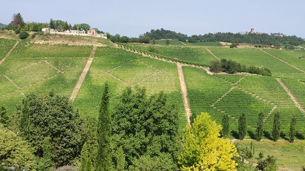 Monferrato traditional and new 1 Monferrato traditional and new 1