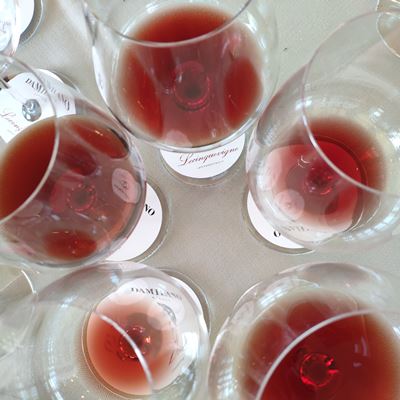Damilano 5 Barolo 2015 2 Damilano 5 Barolo 2015 2