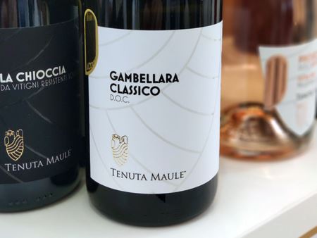 Summer wines 2023 5 Summer wines 2023 5