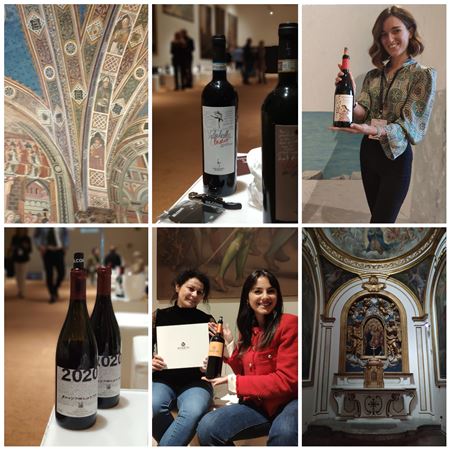 Wines of Become 1 Wines of Become 1