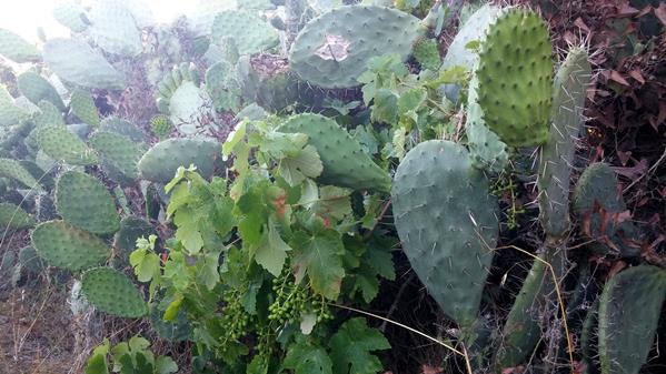 Southern Sardinia 4 6 Southern Sardinia 4 6