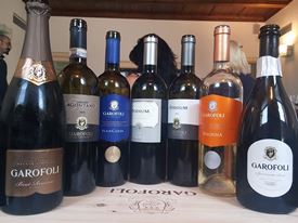 Marche Wine Tour 6 Marche Wine Tour 6