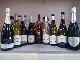 Marche Wine Tour 14 Marche Wine Tour 14