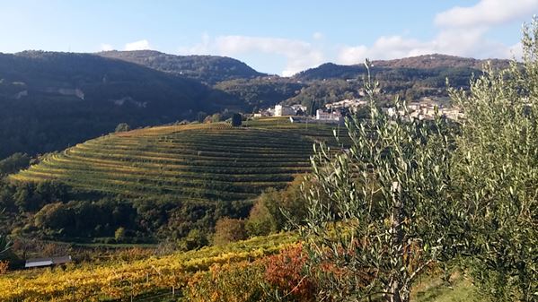 Gourmet day in Valpolicella 5 Gourmet day in Valpolicella 5