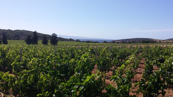 Southern Sardinia 3 14 Southern Sardinia 3 14
