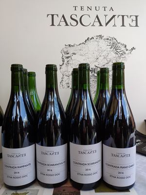 Contrade dell Etna 2019 4 Contrade dell Etna 2019 4
