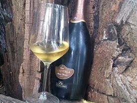 Marche Wine Tour 16 Marche Wine Tour 16