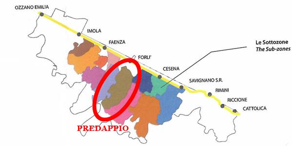 Predappio and its Sangiovese 1
