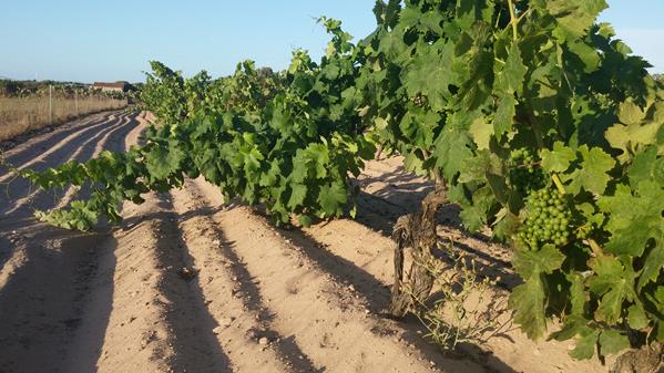 Southern Sardinia 4 7 Southern Sardinia 4 7