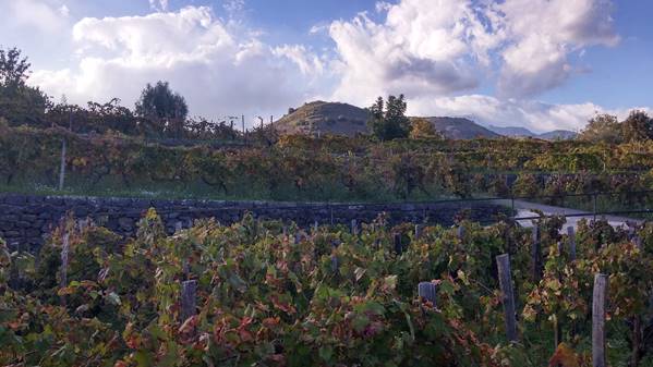Etna 6 Etna 6