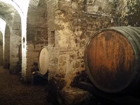 Marche Wine Tour 11 Marche Wine Tour 11