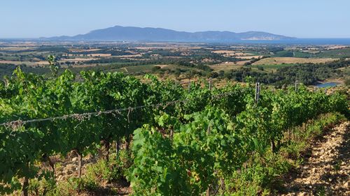 Maremma leisure 1