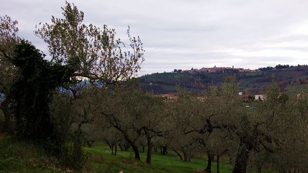 Route Montefalco Montioni