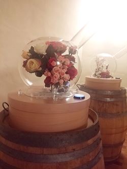 Marche Wine Tour 2 Marche Wine Tour 2