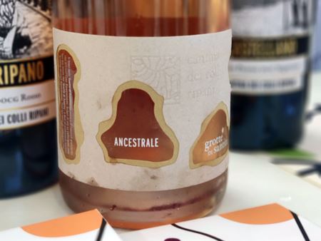 Summer wines 2023 2 Summer wines 2023 2