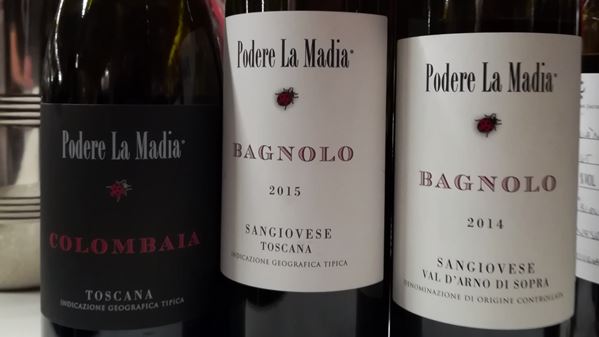Valdarno wines 4