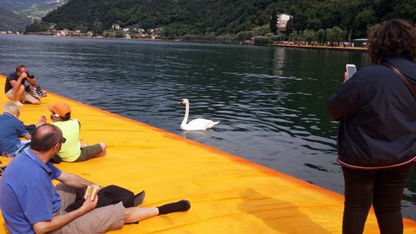 The Floating Piers 12 The Floating Piers 12