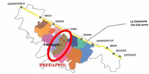 Predappio and its Sangiovese 2
