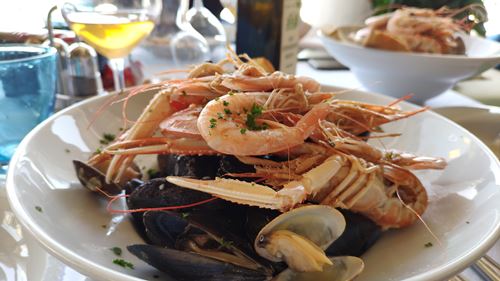 Maremma leisure 9