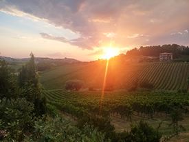 Marche Wine Tour 10 Marche Wine Tour 10