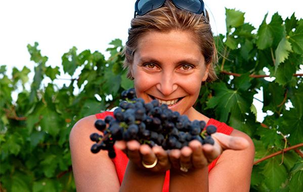 Wine muses 6 Wine muses 6