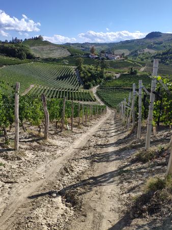 Route Giovanni Rosso Barolo experience 6