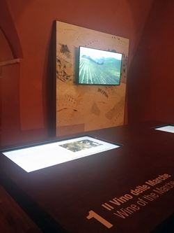 Marche Wine Tour 1 Marche Wine Tour 1