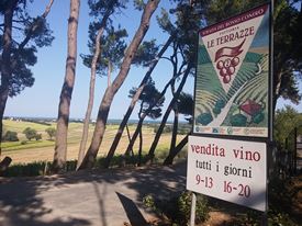 Marche Wine Tour 8 Marche Wine Tour 8