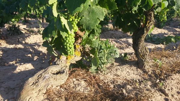 Southern Sardinia 4 5 Southern Sardinia 4 5