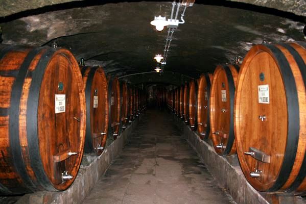 Badia a Coltibuono 4